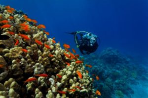 Aqaba Diving tours