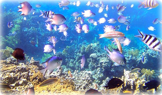 Aqaba 5 Top Gründe Jordanien zu besuchen – Ein Land voller Geschichte und Schönheit