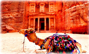 Petra The Rose City 6