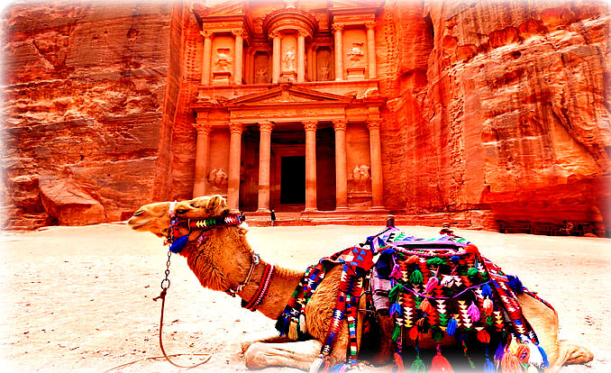 Petra The Rose City 6