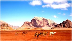 Wadi Rum 1