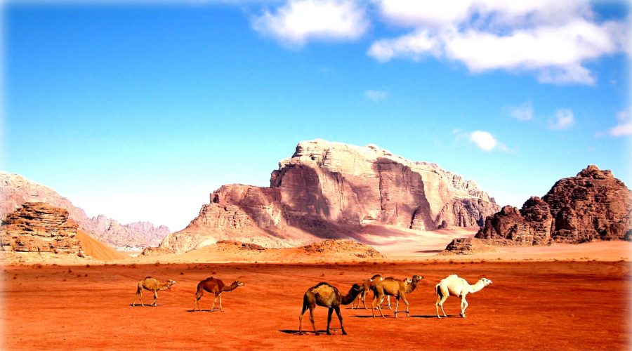 Wadi Rum 1